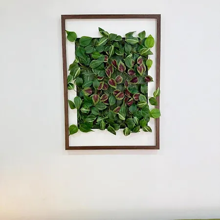 Apartamento Secret Paradise