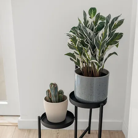 1 Bedroom - Patio - - Ac * Lisbon