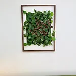 Apartamento Secret Paradise
